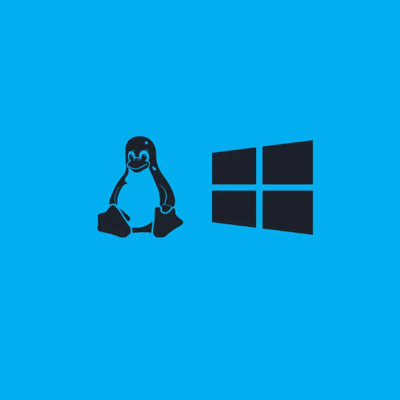 Utrzymanie serwera Linux i Windows