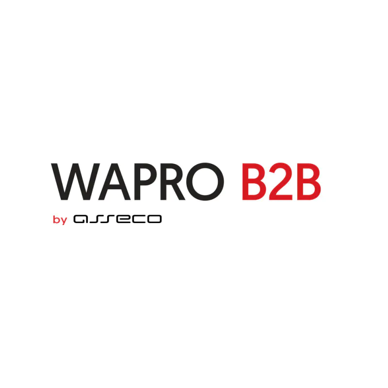 Sklep internetowy – wapro b2b abonament 360 dni
