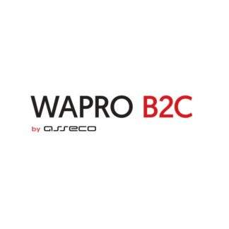 Sklep internetowy - wapro b2c abonament 30 dni