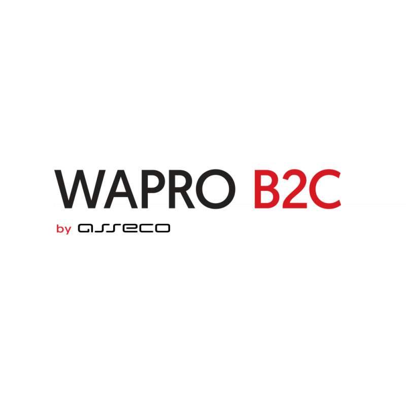 Sklep internetowy – wapro b2c abonament 360 dni