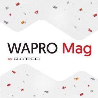 Program do wystawiania faktur WAPRO Mag 365 PRESTIŻ