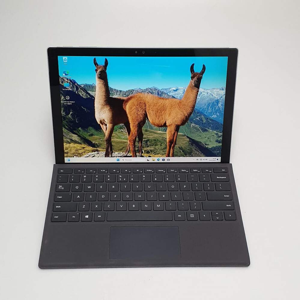 Surface Pro 4 M3-6Y30/4GB/128NVMe/Win11 IPS